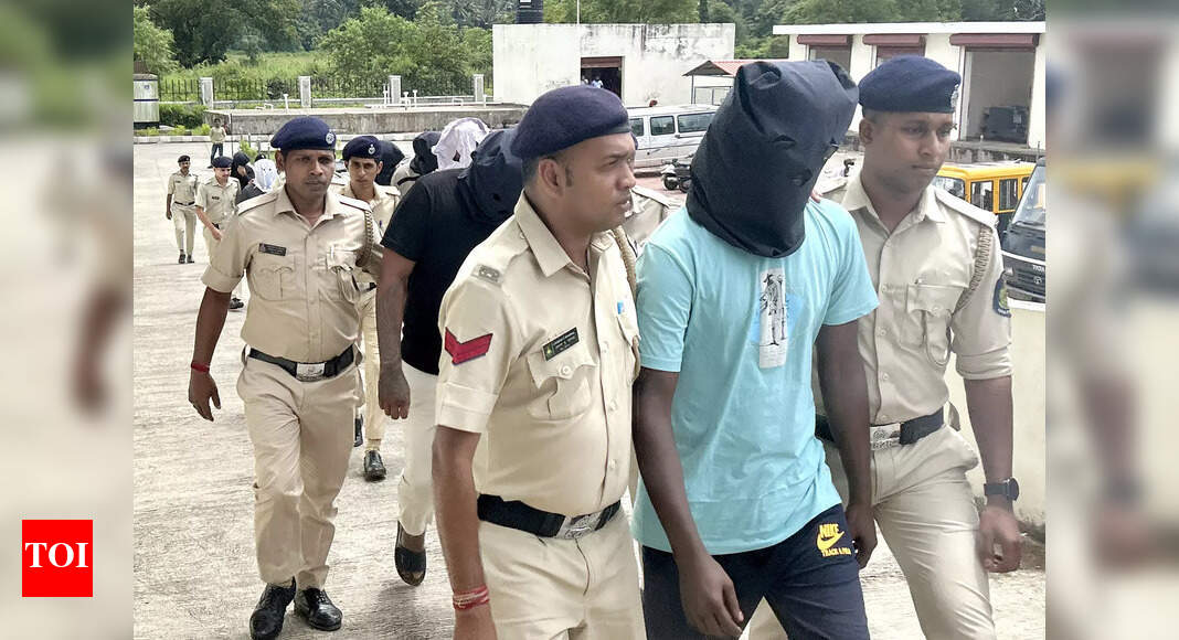Investigation into Kankonkar’s assault diverted: Activists