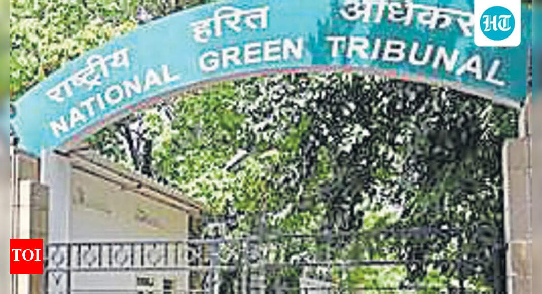 Make public all alleged CRZ violators: NGT to coastal body