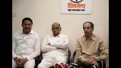 Pawar calls for positive views on Kashmir & its resident Muslims