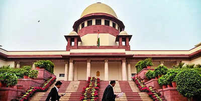 No information  to contrary, little   property  of consent, says amicus