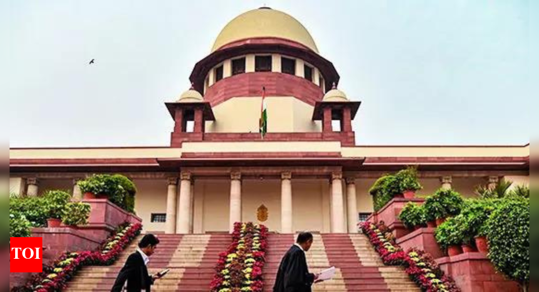 No data to contrary, lower age of consent, says amicus