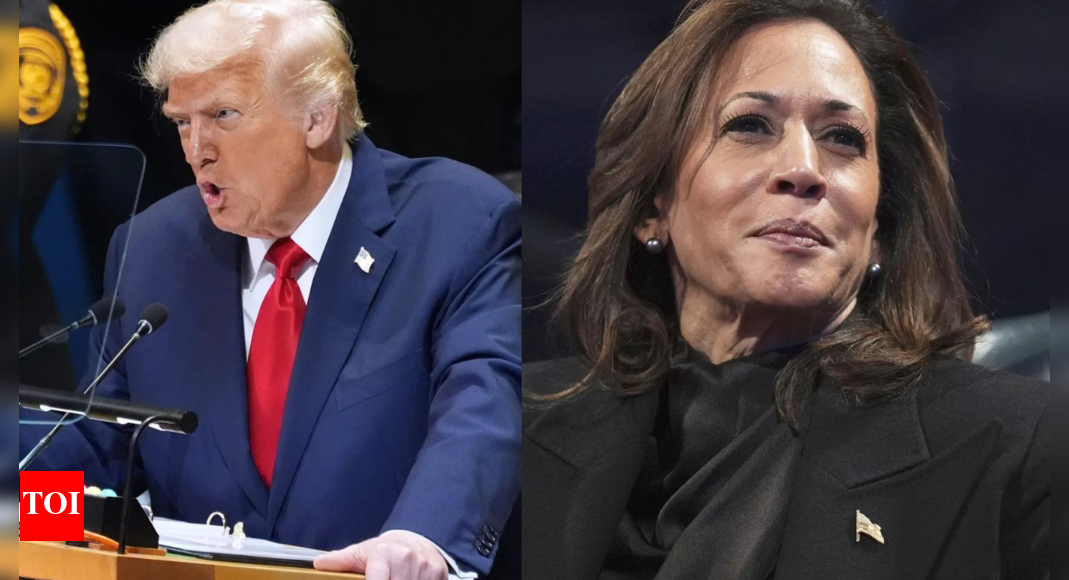 ‘Dumb as a rock’: Donald Trump rejects Kamala Harris's claim of 2024 being 'closest election of century'; demands apology