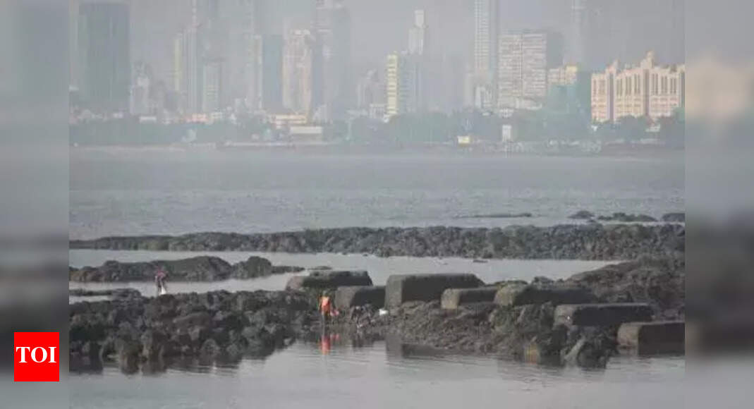 Mumbai's BMC pulls down 11.5k illegal banners after Ganpati fest