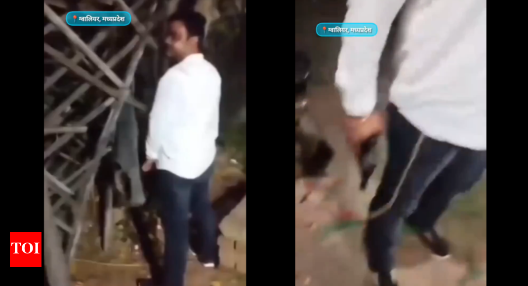 <div>'Keep your daughter inside at night': Gwalior man pulls out gun when told not to urinate in public – watch</div>