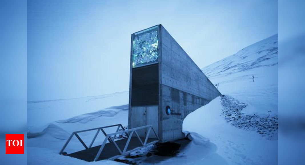 The 'doomsday' Arctic vault: Humanity's insurance plan against global catastrophe?