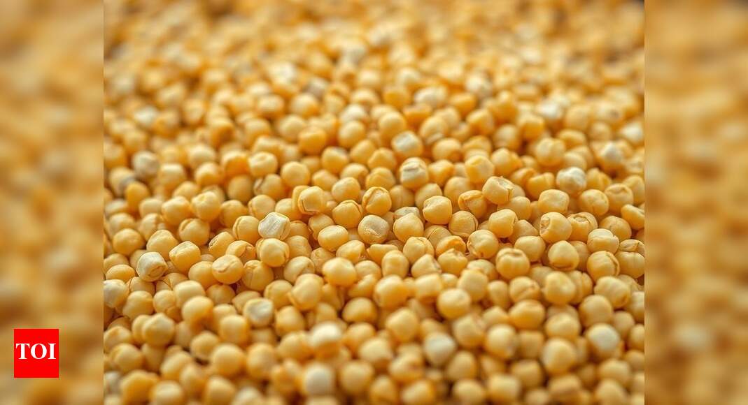 <div>'Used to feed cattle': Why SC wants govt reply on yellow pea imports & why farmers are concerned</div>