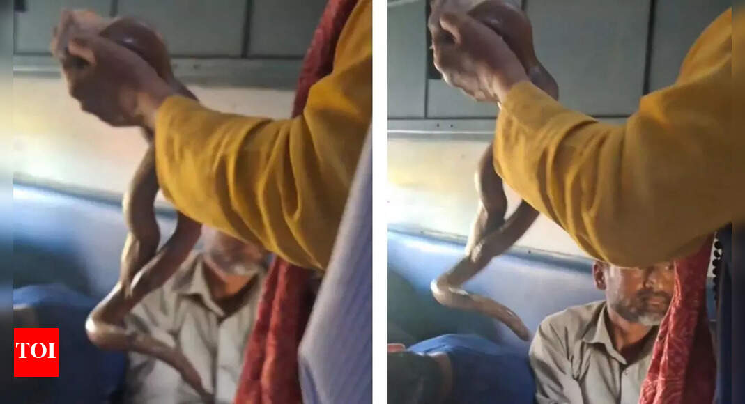 Snake on the train! Watch how this man extorted money from travellers on Ahmedabad–Sabarmati Express