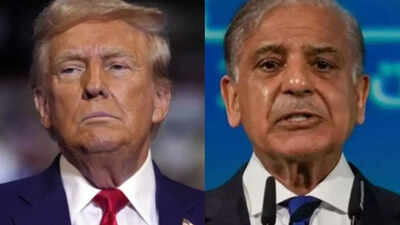 Trump to conscionable   PM of Pakistan, a state  helium  erstwhile  called a violent  harmless  haven