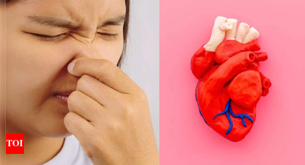 Farts might protect your heart, research reveals surprising benefit – The Times of India Farts might protect your heart, research reveals surprising benefit – The Times of India