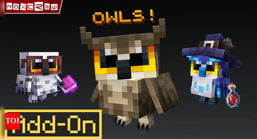 How to get and play the new Owl add-on in Minecraft
