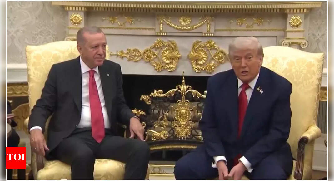 Trump-Erdogan meeting: US prez asks Turkey to stop buying Russian oil; F-35 jet deal on agenda