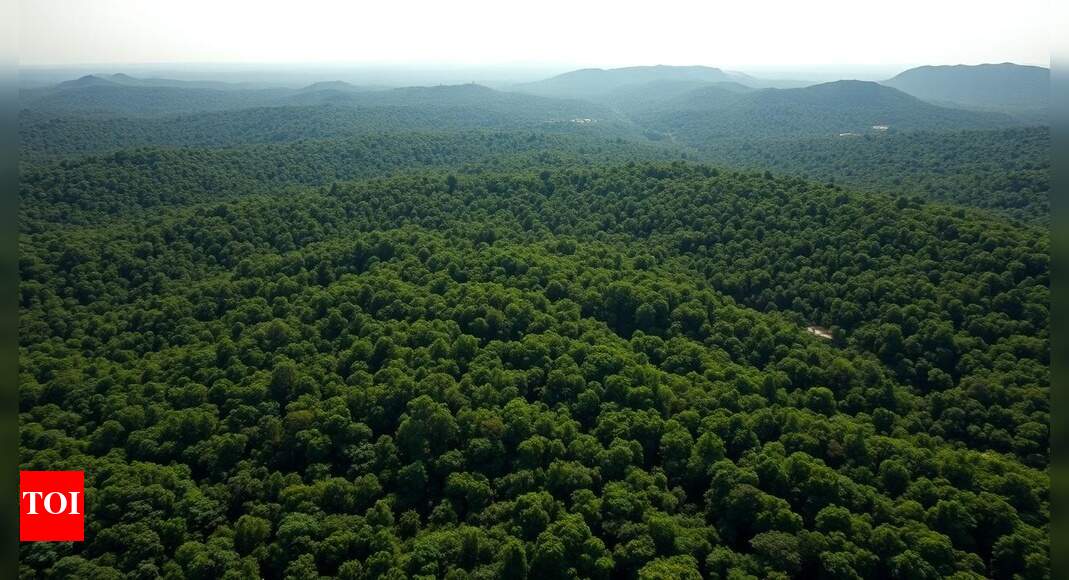 <div>India’s forest cover up by mere 2.5% in 10 years but 'very dense forest' component grew 22.7%: First ever report on national forest accounting</div>