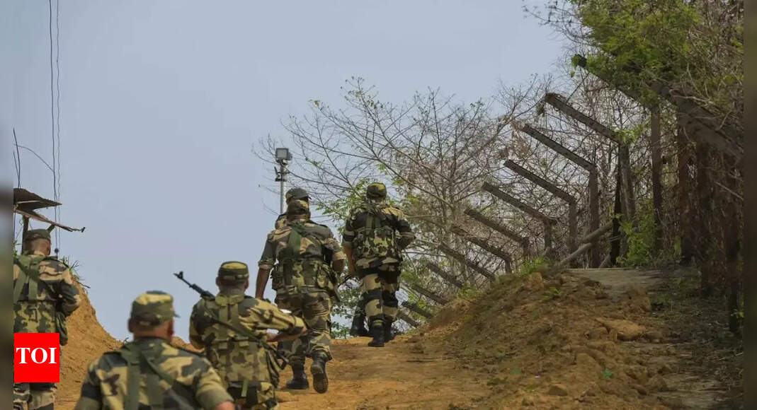 BSF foils infiltration bid along international border, detains Pak intruder