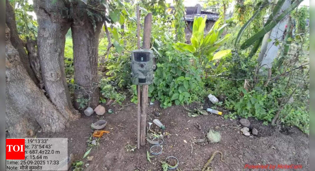 Abtak.com - Other - News Image