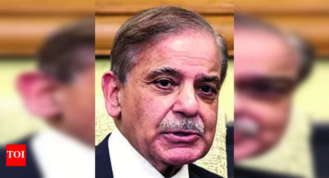 <div>Pak PM Shehbaz Sharif meets Sri Lanka president & Yunus in New York</div>