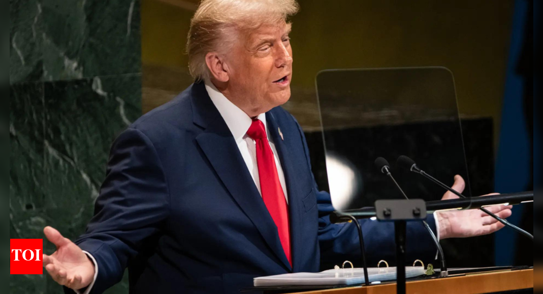 'Haven’t liked it at all': Donald Trump slams Russia, Putin on Ukraine