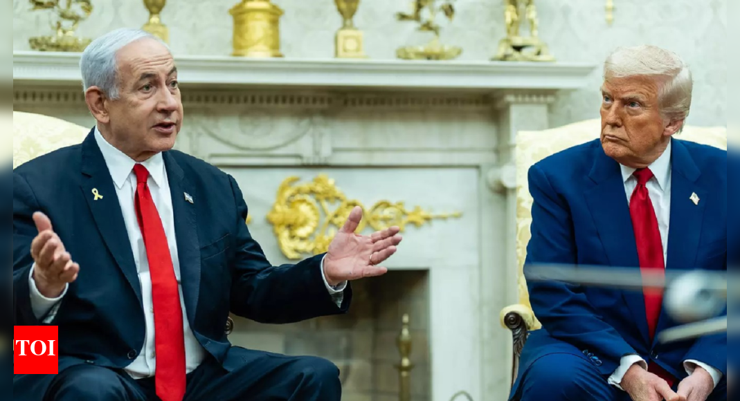 'Time to stop': Trump was asked if he'll allow Israel to annex the West Bank? What the US President said