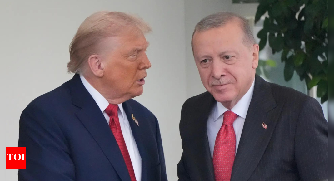 ‘Knows better than anybody’: Trump’s veiled jibe at Erdogan over ‘rigged elections’ in his presence - watch
