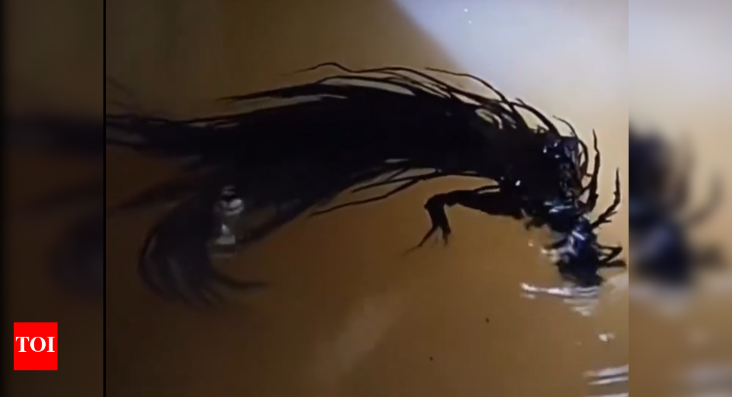 Slimy Venom like alien, walking with scary tentacles found in a backyard: Man claims it fell from a meteorite