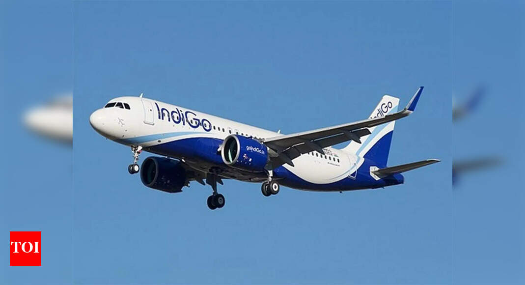 Telangana rains: 3 IndiGo Hyderabad flights diverted to Vijayawada; CM Revanth Reddy urges caution