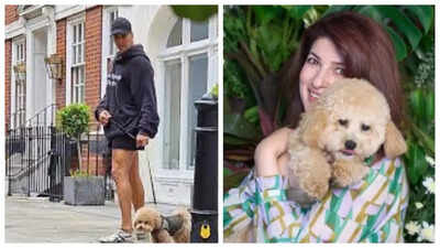 Akshay Kumar’s pet dog Jeeves moves from London to Mumbai, staff give him an adorable nickname; fans call it, 'typical Marathi ghar thing'