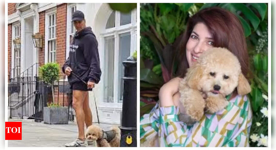 Akshay Kumar’s pet dog Jeeves moves from London to Mumbai, staff give him an adorable nickname; fans call it, 'typical Marathi ghar thing'