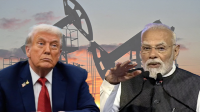 'Delhi now on phone with Moscow': Nato chief claims PM asked Putin to explain strategy on Ukraine; big claim on tariff impact