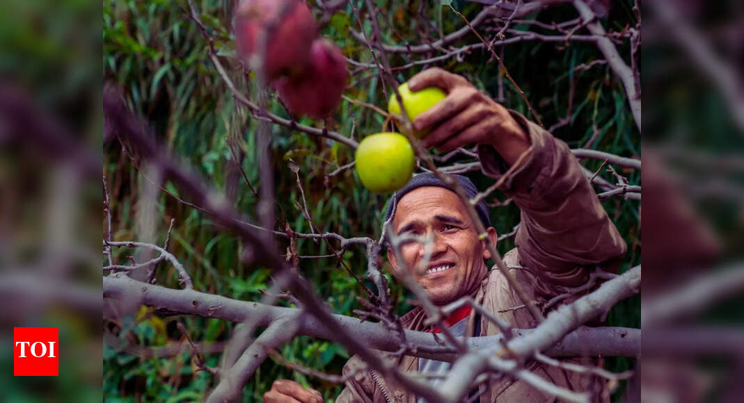 Which state is known as the 'Apple State of India'?