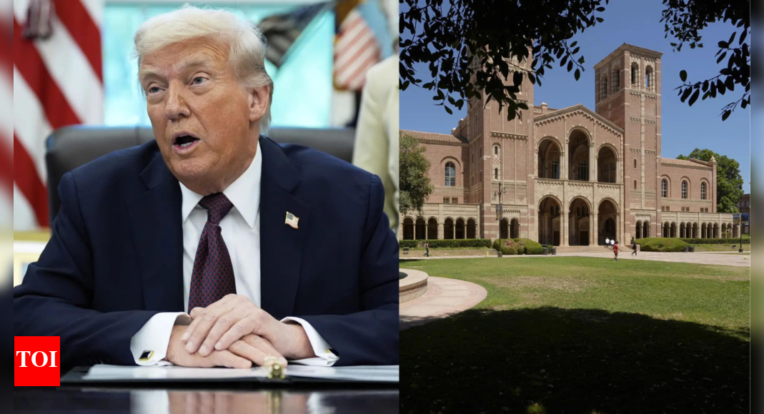 Trump admin ramps up surprise site checks on OPT students; nearly 1 lakh Indian students are undergoing such training