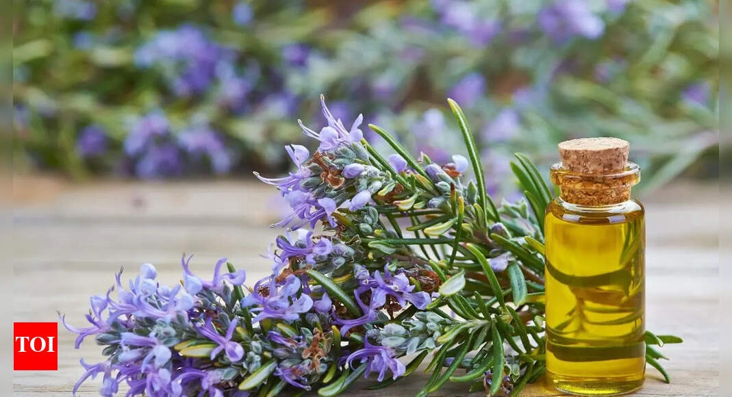 Rosemary for Alzheimer’s: How this herb supports memory and brain health
