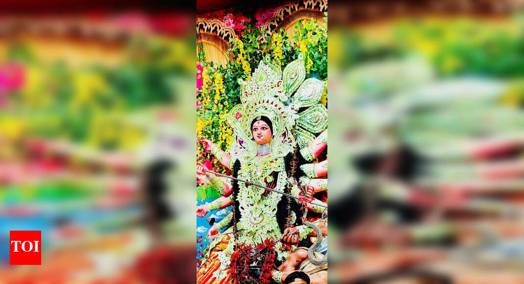 Shri Shri Durga Puja Mahotsava: Year-round service and community spirit in Patna