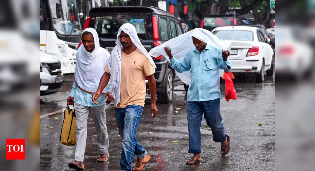IMD forecasts rain and thunderstorms in Bihar during Durga Puja