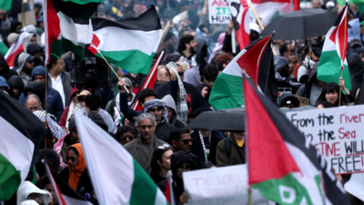 Palestine to articulation  Brics? Envoy submits exertion  - what China said