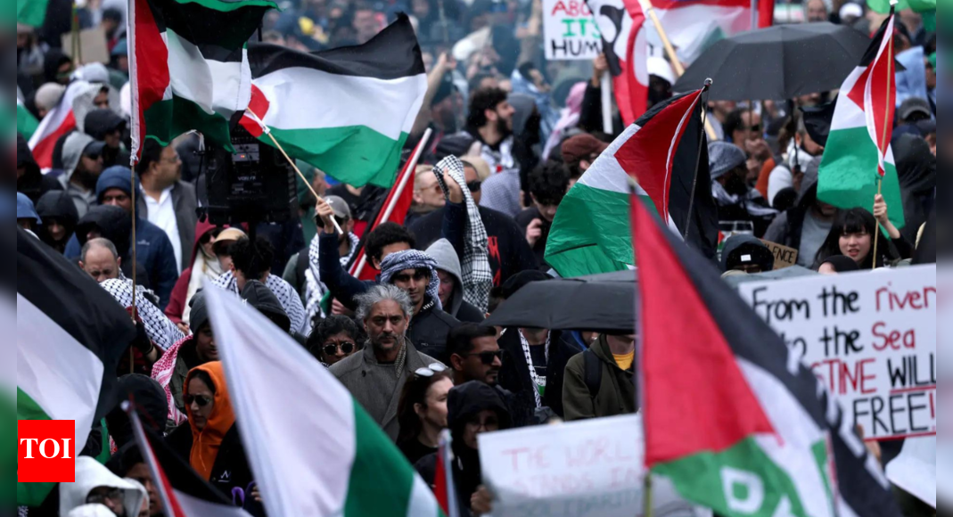 Palestine to join Brics? Envoy submits application - what China said