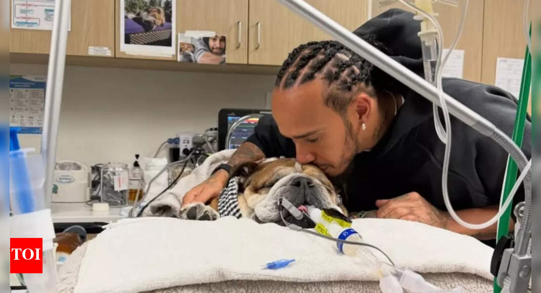 Lewis Hamilton abandons tyre test as beloved dog Roscoe clings to life in coma, George Russell sends heartfelt message