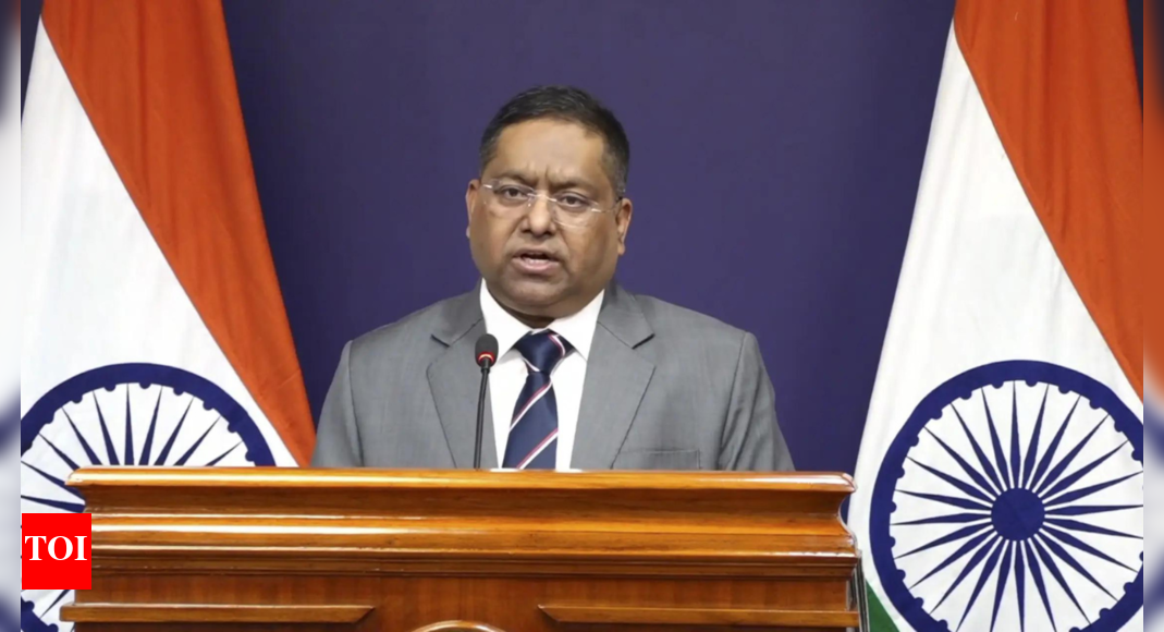 $100k fees for H-1B visa: India assures continued talks with US; focus on 'skilled talent mobility and exchange'