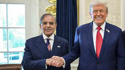  How Pakistan is worming its mode   backmost  into US favour