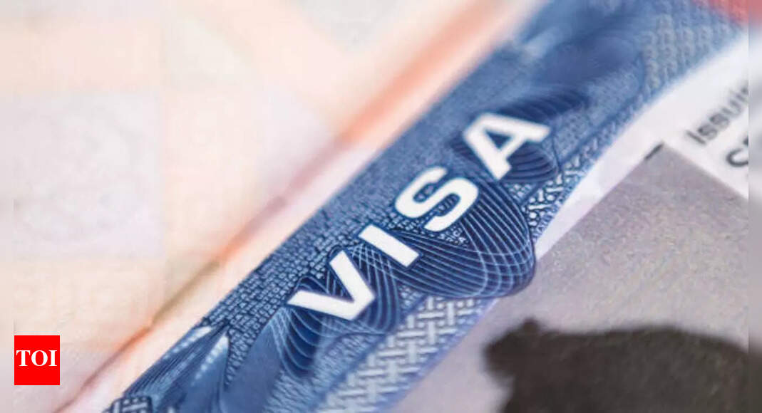 'Explore India first': US visa officers deny Delhi man for zero travel outside his city, netizens react