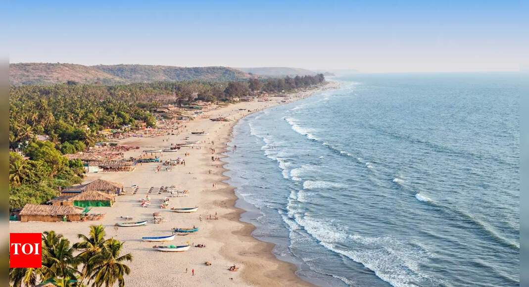 Goa's charter season opens with first flight from Russia on Oct 2