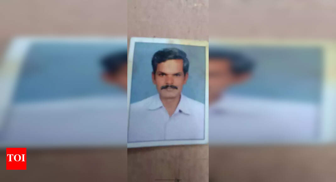 The Times of India - Politics - News Image