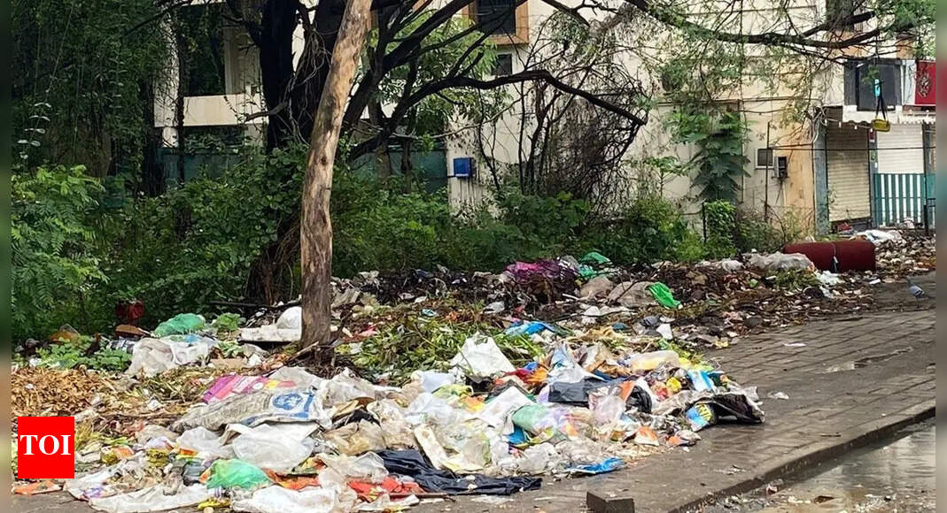 Heritage lovers seek action on littering at Old Goa heritage site