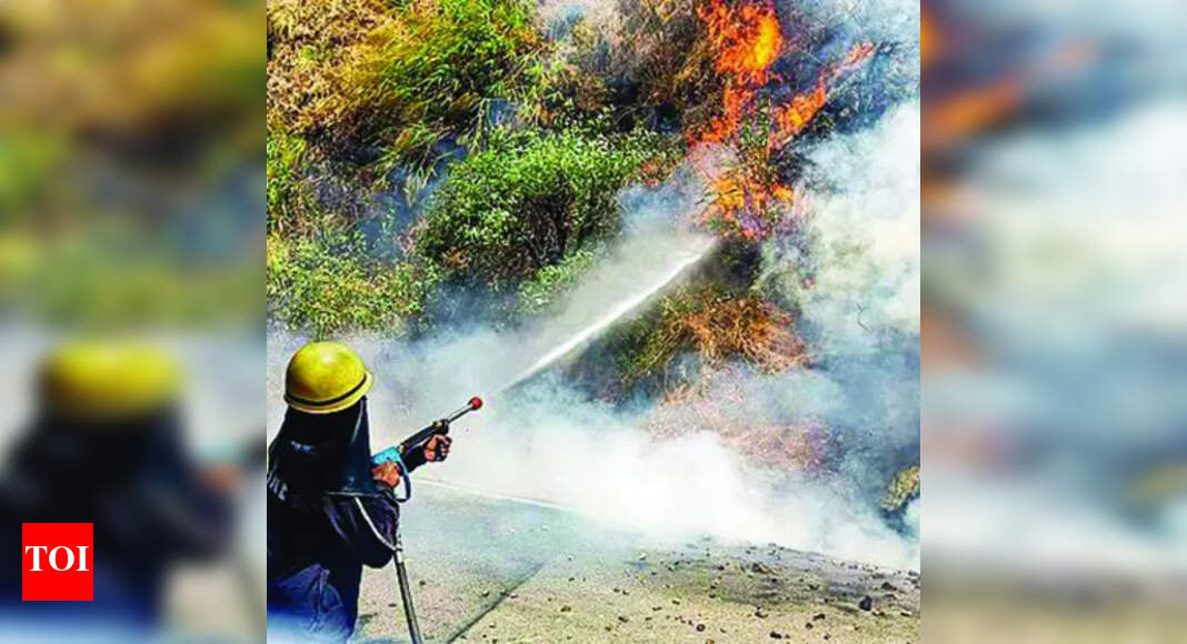 Goa sees a rise in dry grass fires with over 1k cases in 2025