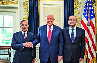 'Man of peace': At UNGA, Shehbaz Sharif backs Donald Trump's claim of mediation