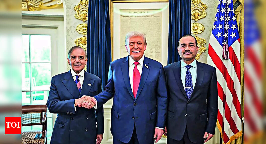 <div>'Man of peace': At UNGA, Shehbaz Sharif backs Donald Trump's claim of mediation</div>