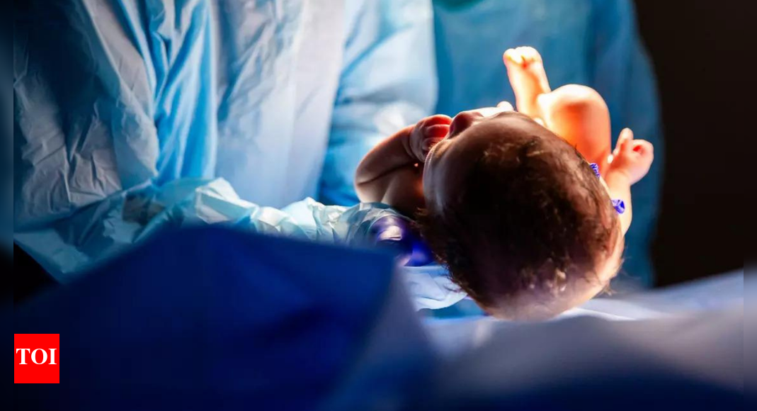 Rajasthan horror: Newborn found with mouth glued, buried alive under stones in forest