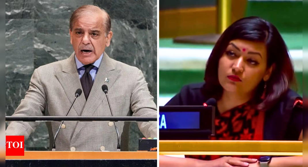<div>'No degree of drama can conceal facts': India responds to Pakistan PM Shehbaz Sharif's remarks at UN; slams 'absurd theatrics'</div>