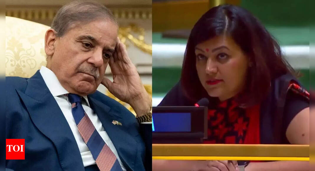 'No degree of drama can conceal facts': India responds to Pakistan PM Shehbaz Sharif's remarks at UN; slams 'absurd theatrics'