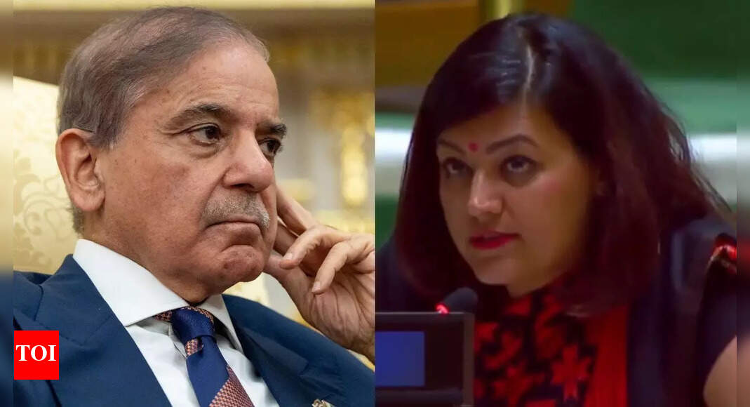 <div>'If destroyed runways look like victory... ': India rejects Shehbaz Shariff's 'bizarre' claims at UN; asks Pak to handover terrorists</div>
