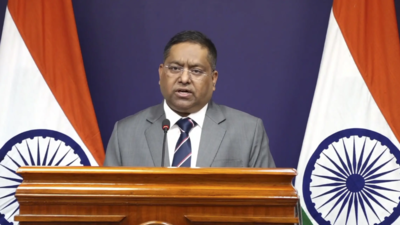 'Trying to get them out': India urges Russia to release 27 more nationals allegedly forced into military; issues advisory to citizens