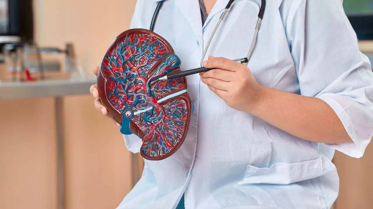 Early fatty liver warning signs you can detect at home: 5 key symptoms,  myths, and lifestyle tips from a Harvard-trained doctor | - The Times of  India